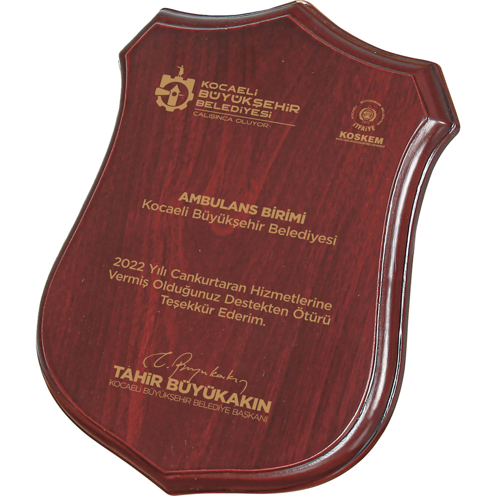 BK-75 Ahşap Plaket 20 x 24 cm