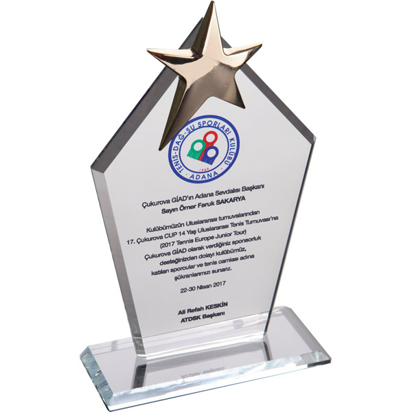 EKT-170-FM Kristal Plaket 12 x 21 cm-Şeffaf