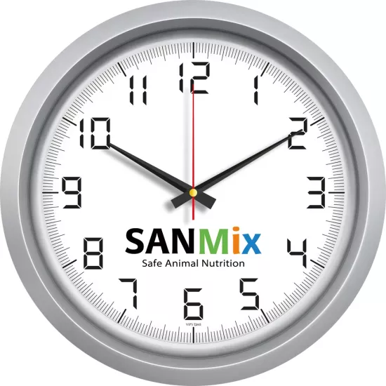 V30-551-G Plastik Duvar Saati Ø 40 cm